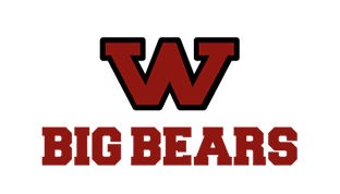 BIG BEARS