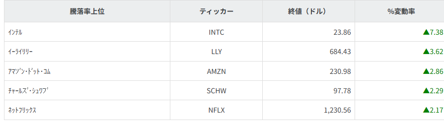 S&P100種騰落率ランキング