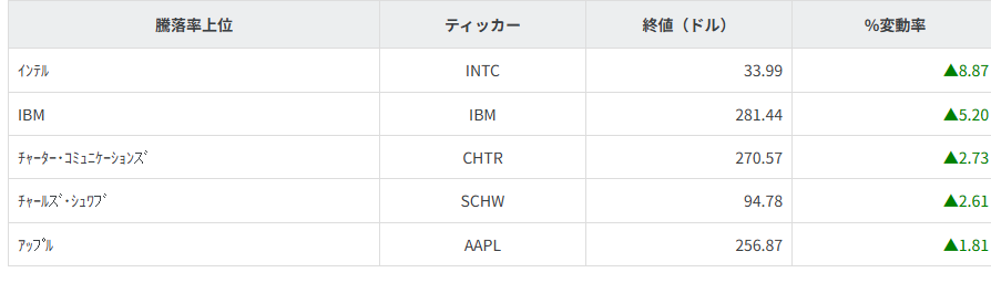 S&P100種騰落率ランキング